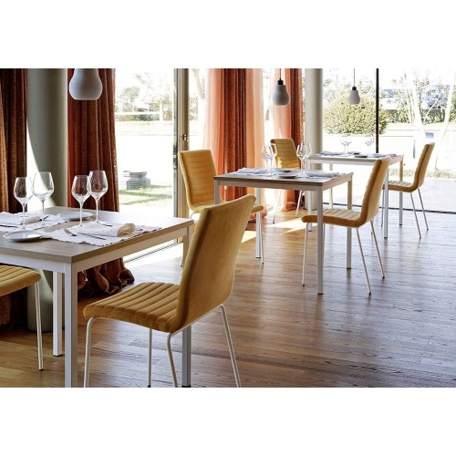 Star S M TS Midj Chair