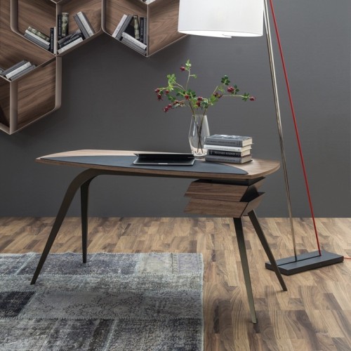 Logos Tonin Casa Desk