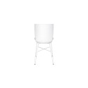 Rapper Colico Chair