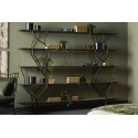 Albero Cantori Bookcase