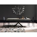 Ulisse Altacom Coffee Table