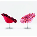 Bouquet Moroso Armchair