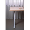 Sit To Stand Martex Desk