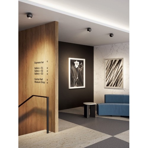 Lodes Spider Ceiling Lamp