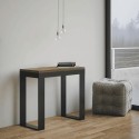 Tecno Evolution Itamoby Console table anthracite frame