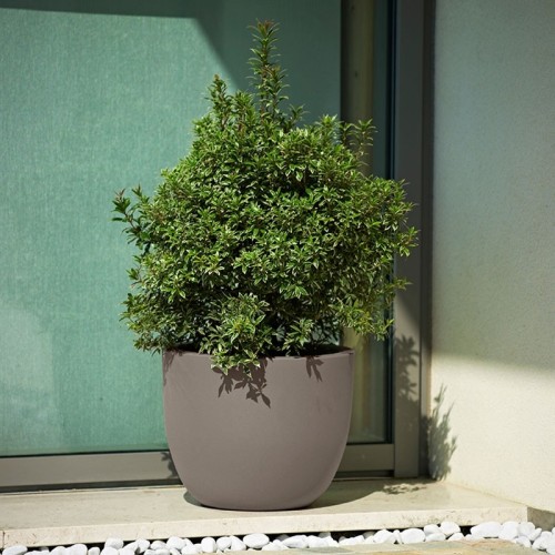 Etria Uno Khilia Vase - Vase - Sleek and Elegant