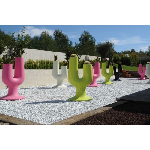 Cactus Plust Flower Pot