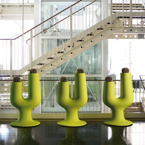 Cactus Plust Flower Pot