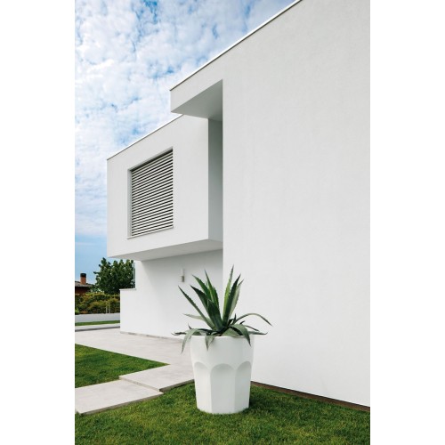 Cubalibre Plust Vase - Modern Elegance for Your Home Decor