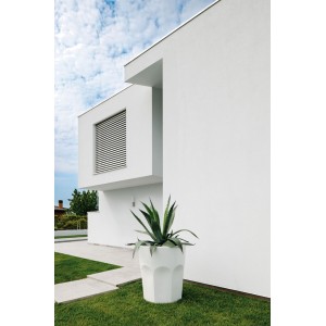 cubalibre-vase-plust