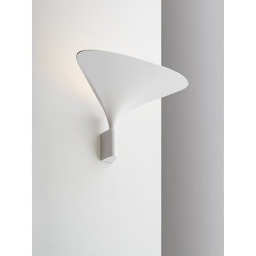 Sunset Rotaliana Wall Lamp