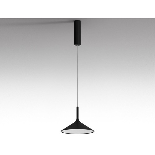 Dry H1-H2 Rotaliana Suspension Lamp