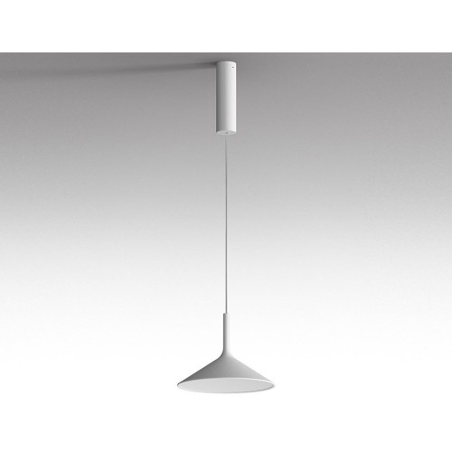 Dry H1-H2 Rotaliana Suspension Lamp