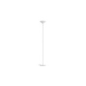 Dry Rotaliana Floor Lamp