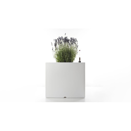 Cubotti Serralunga vase