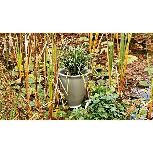 Santavase Serralunga vase