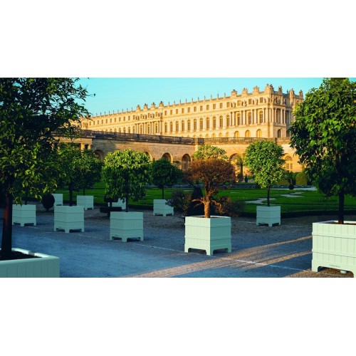 Versailles Serralunga vase