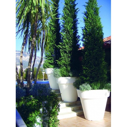 Vas family & big bo Serralunga illuminable vase