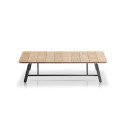 Soul Potocco Coffee Table