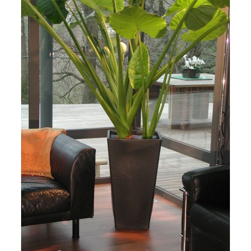 Y-Pot Slide Flower Pot