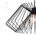 Cage Tomasucci Chandelier