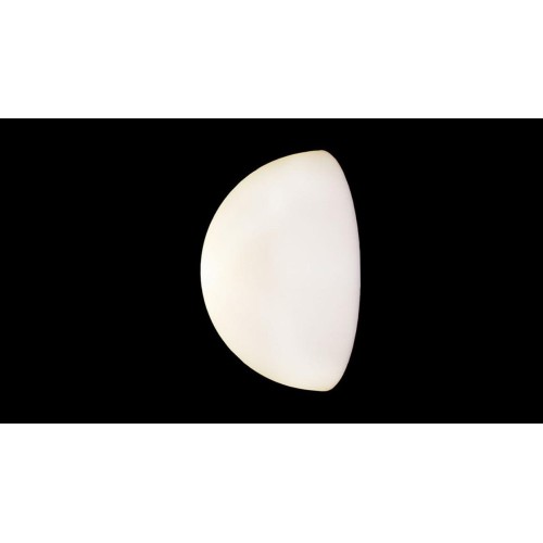 1/2 Globo Slide Wall Lamp