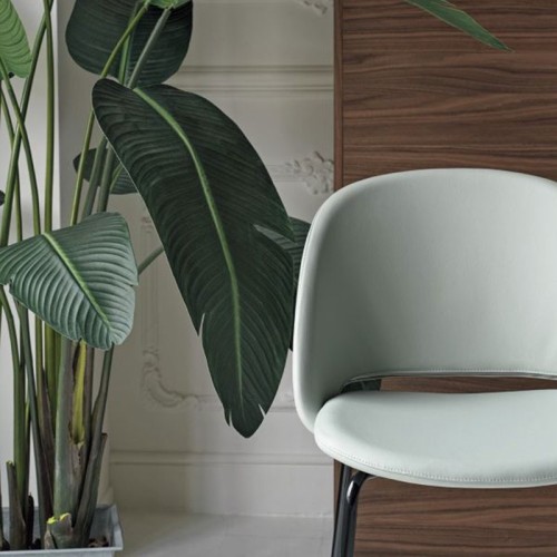 Polo Bontempi Stool covered