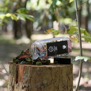 pot-pourri-legnaioli-farmacia-ss-annunziata