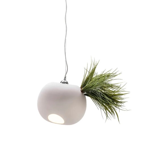 Erbaria Chandelier Adriani e Rossi