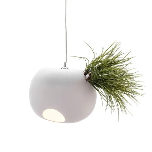 Erbaria Chandelier Adriani e Rossi