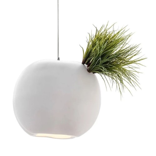 Erbaria Chandelier Adriani e Rossi