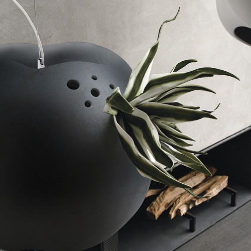 Erbaria Chandelier Adriani e Rossi