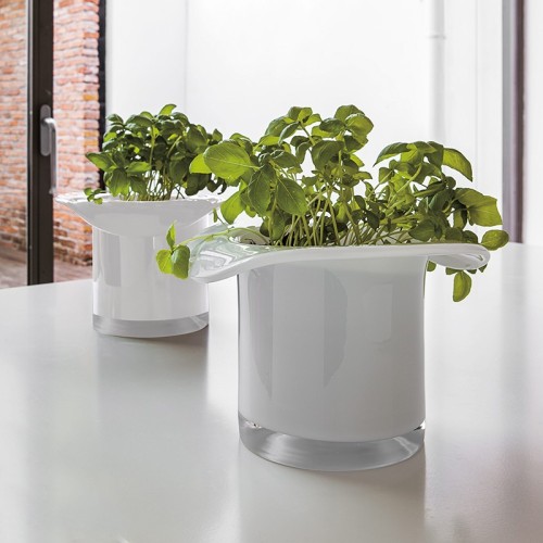 Cabaret Glass Vase by Adriani e Rossi