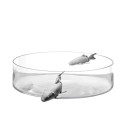 Illusion Fish Collection Glass Vases by Adriani e Rossi