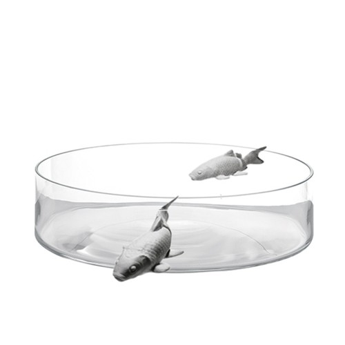 Illusion Fish Collection Glass Vases by Adriani e Rossi