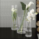 Round Glass Vase Set by Adriani e Rossi