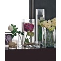 Square Glass Vase Set by Adriani e Rossi