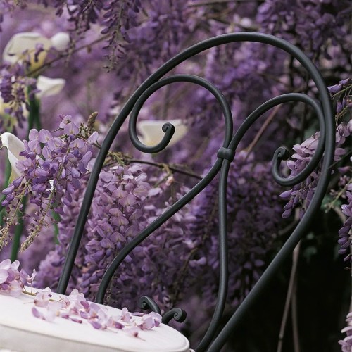 Aurora Unopiù Chair