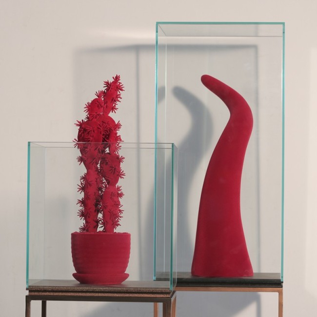 Glass Display Case Teca by Adriani e Rossi