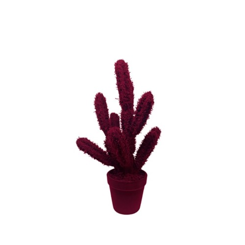 Decorative Object Cactus Long Adriani e Rossi