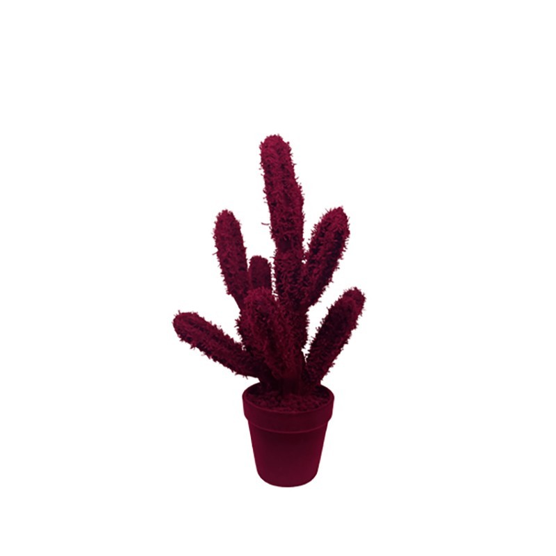 Decorative Object Cactus Long Adriani e Rossi