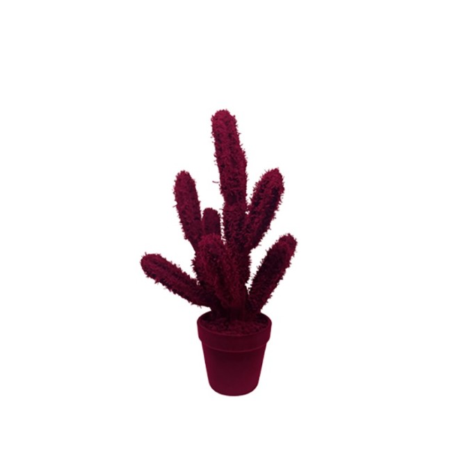 Decorative Object Cactus Long Adriani e Rossi