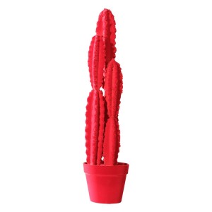 Decorative Object Cactus 66 Adriani e Rossi