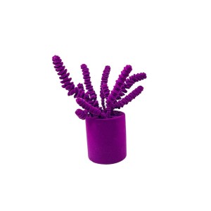 Decorative Object Crassula Adriani e Rossi