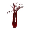 Decorative Object Cactus Cereus by Adriani e Rossi