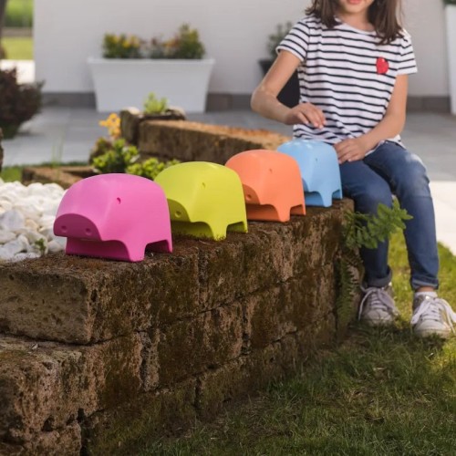 Peggy Plust Decorative Accessory