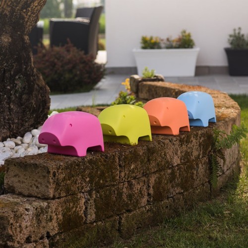 Peggy Plust Decorative Accessory