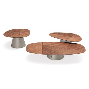 adrian-wood-cattelan-italia-coffee-table
