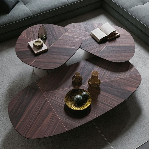 Adrian Wood Cattelan Italia Coffee table