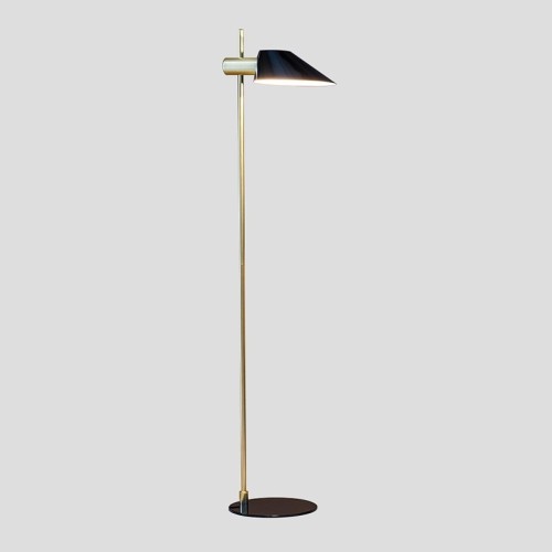 Danish Floor Lamp by Adriani e Rossi